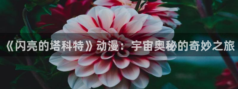欧美伦理动漫：《闪亮的塔科特》动漫：宇宙奥秘的奇妙之旅
